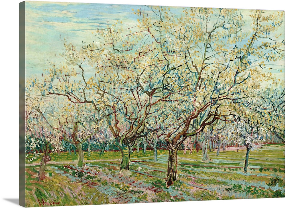 Van Gogh, White Orchard. Oil On Canvas, Vincent Van Gogh, 1888.