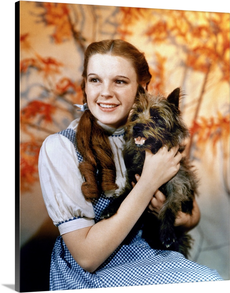 Judy Garland as Dorothy, with her dog Toto, in the 1939 film 'The Wizard of Oz.'