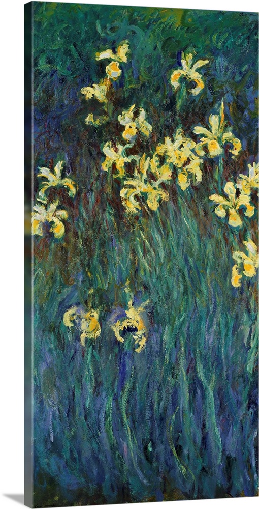 Monet, Yellow Irises. Oil On Canvas, Claude Monet, C1915.