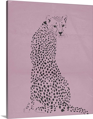 Cheetah II
