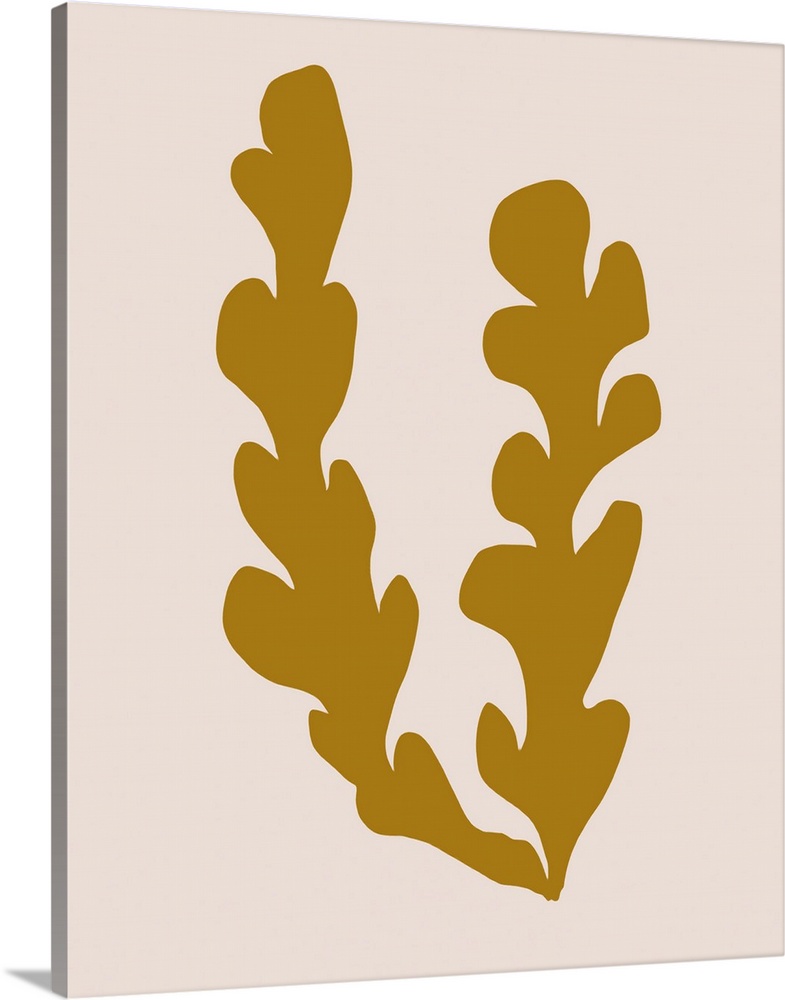 Kelp V