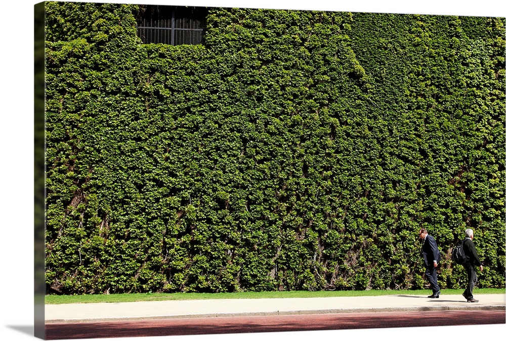 A horizontal photograph of a wall covered with greenery as two men walk by on the sidewalk.