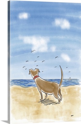 Beach Dog