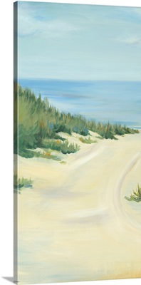 Beach Path II