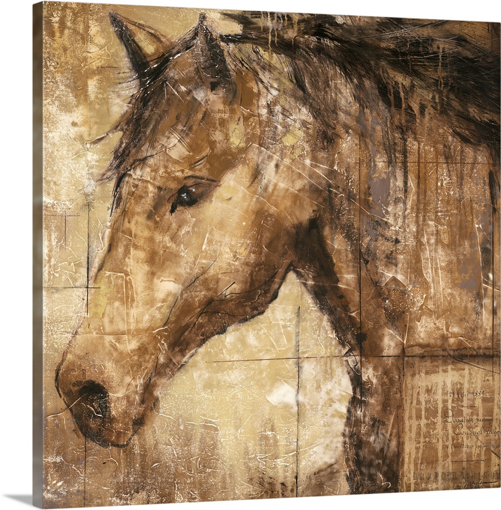 A contemporary portrait of a horse available on square shaped wall art for the home or office.