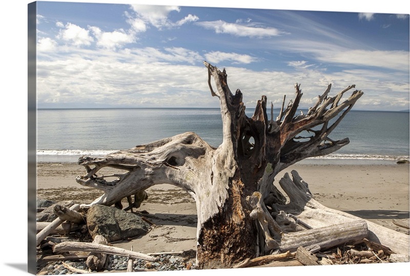 Long Exposure Of Driftwood At Water's Edge, Vancouver Coastline At Stanley  Park, Canada Wall Art, Canvas Prints, Framed Prints, Wall Peels