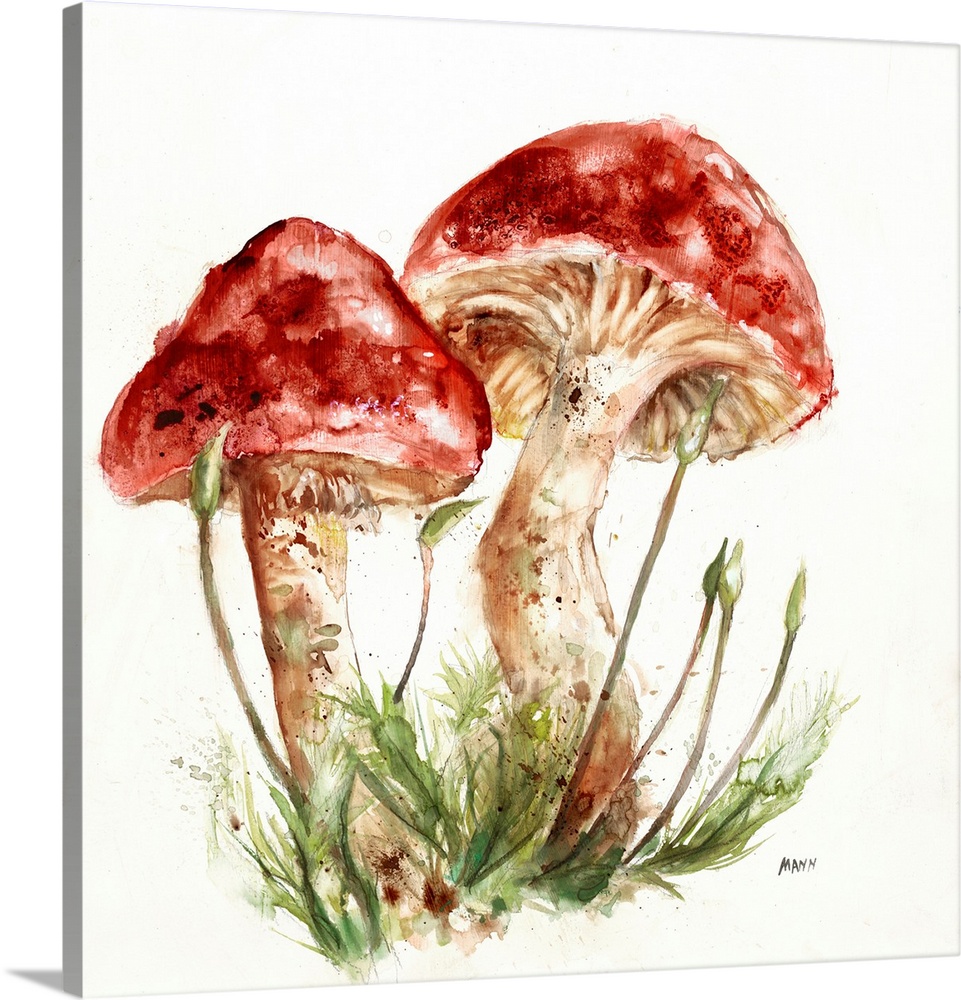 Fruiting Bodies I V30