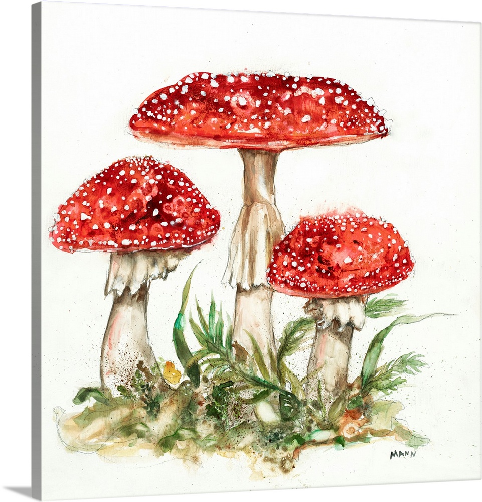 Fruiting Bodies II V30