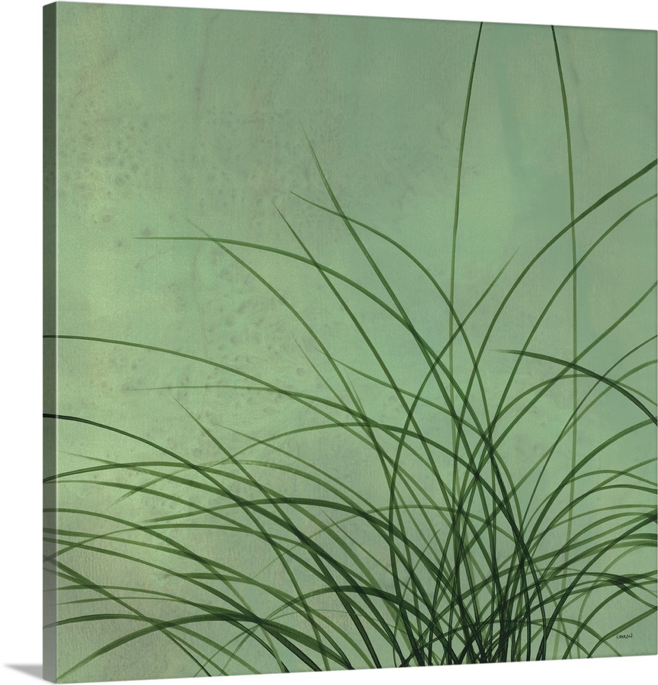Square artwork with long, thin, green grass blades on a lighter green background.