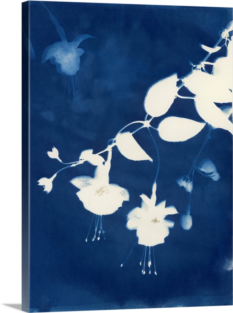 Hanging Basket - Fuschia I