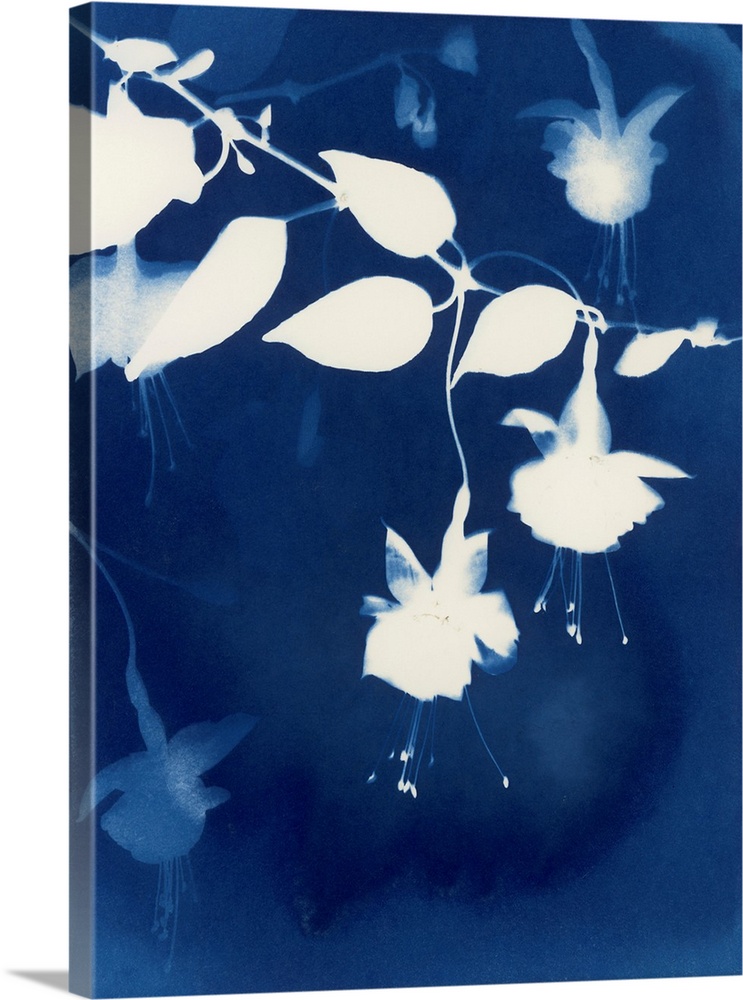 Hanging Basket - Fuschia II