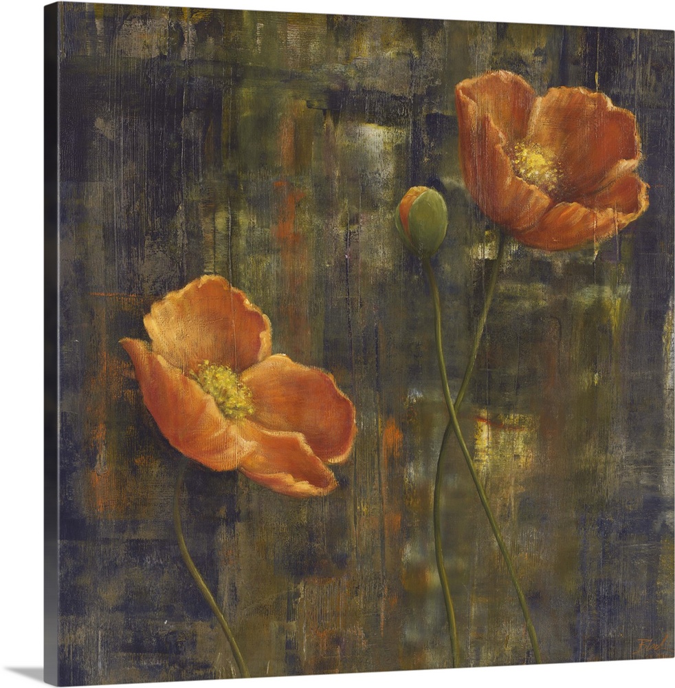Contemporary painting of Icelandic poppies in a muted orange.