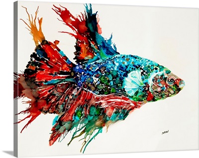 Jeweled Betta I