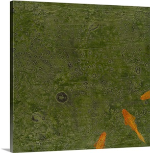 Koi Pond image thumbnail