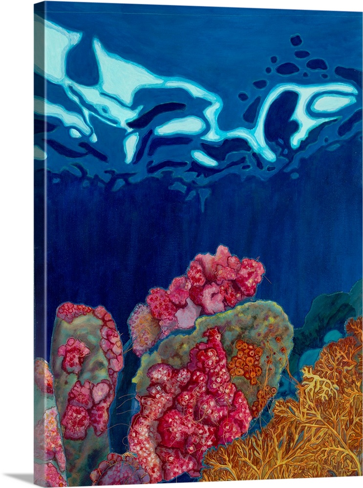 Mending Reef