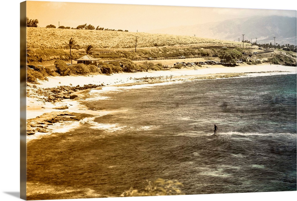 Sepia Beach