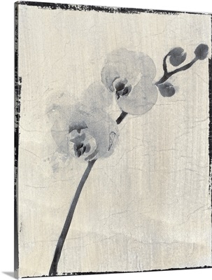 Silk Botanicals VI