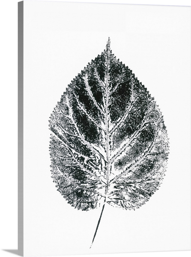 Single Leaf III