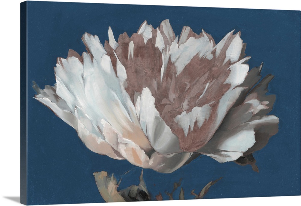 A bold contemporary floral painting of a single white and blush peony flower against a strong blue background. Painted in ...
