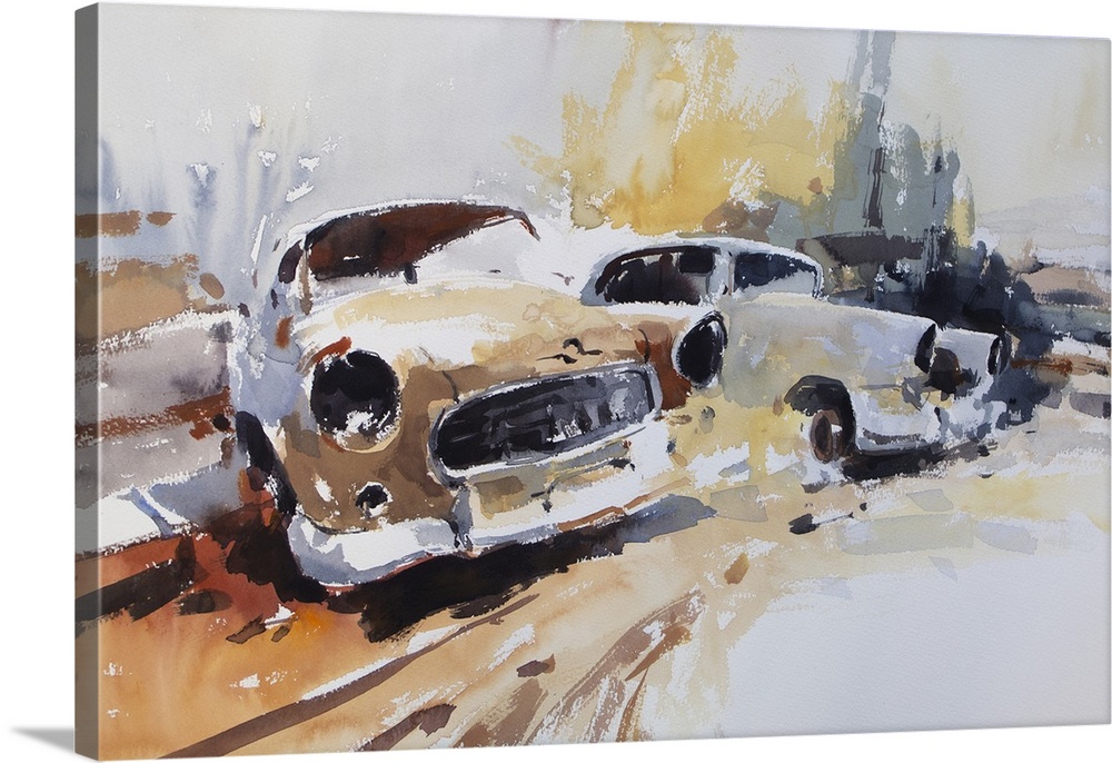 Gestural brush strokes of muted watercolors illustrate old abandoned wrecks of Australian built Holden cars.