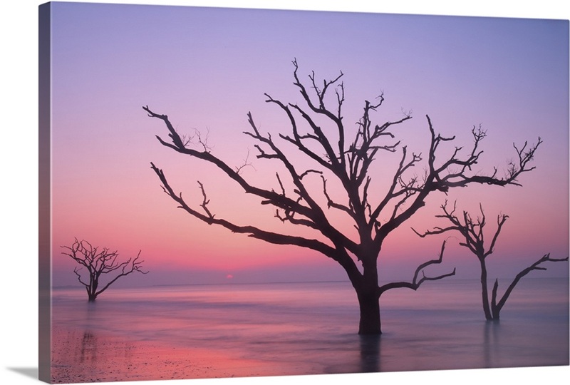 Botany Bay Trees | Great Big Canvas