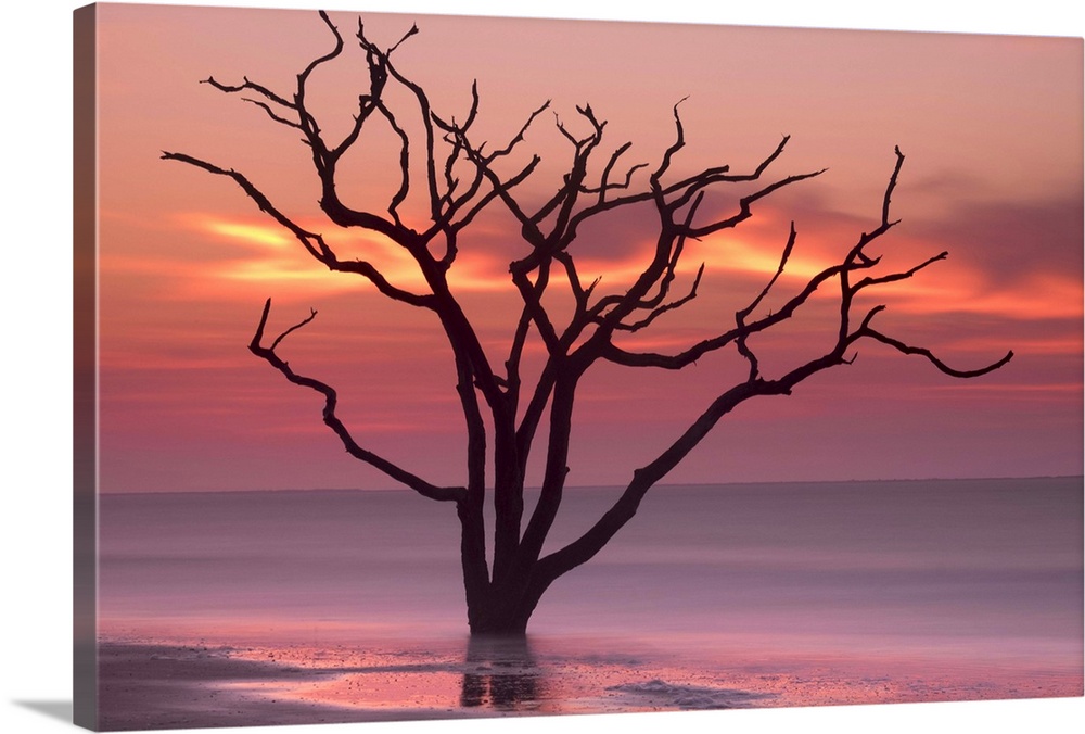 Silhouette of a tree in the ocean with a pink sky at dawn.