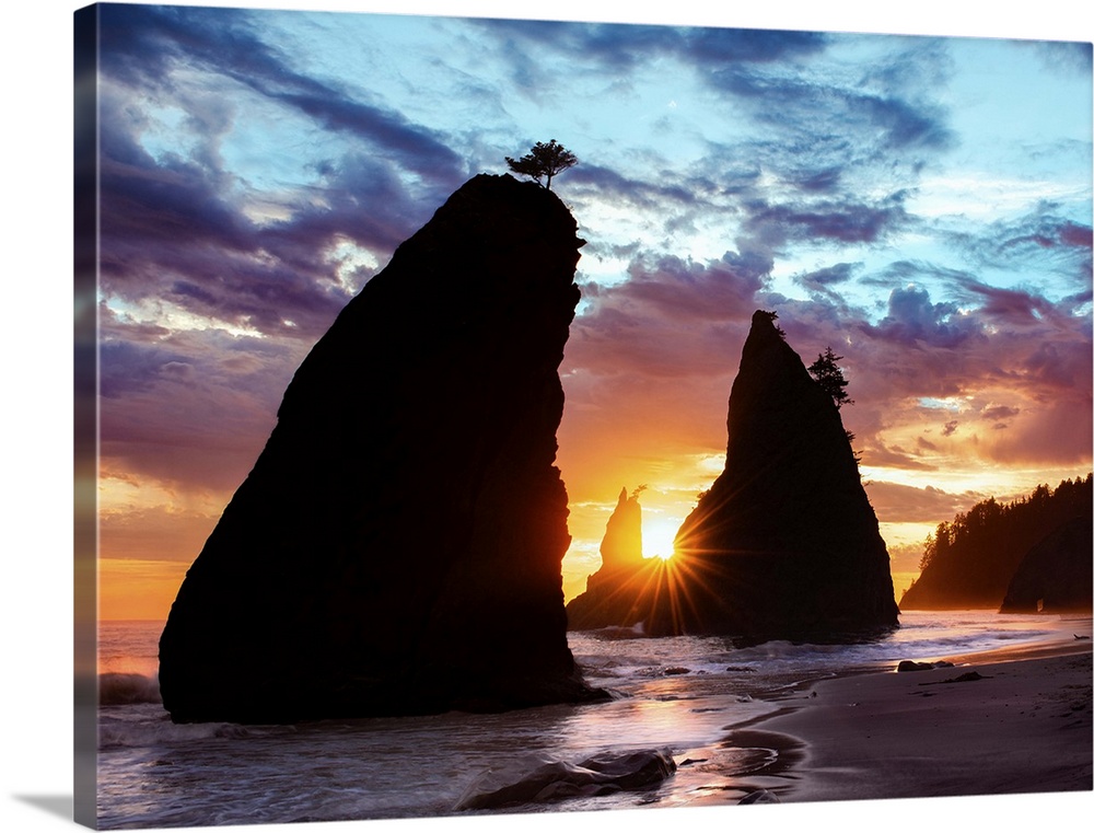 Sea stacks silhouetted by the sunset light on the Washington coast.