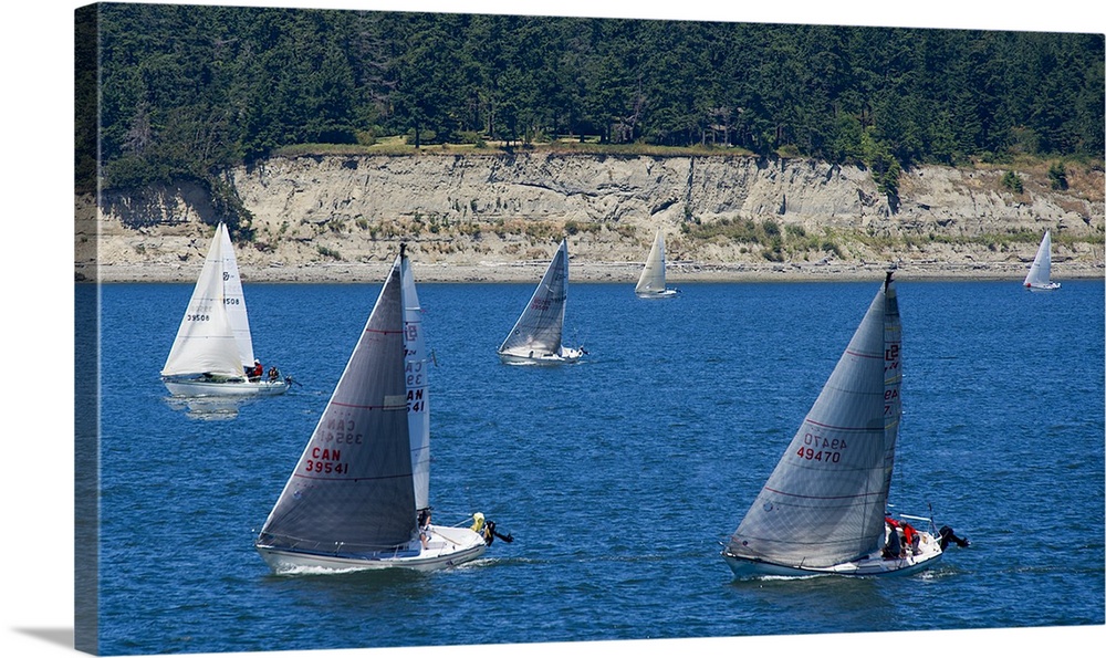 A fleet of sailboats on the calm waters surrounding Whidbey Island, Washington, in the summer.