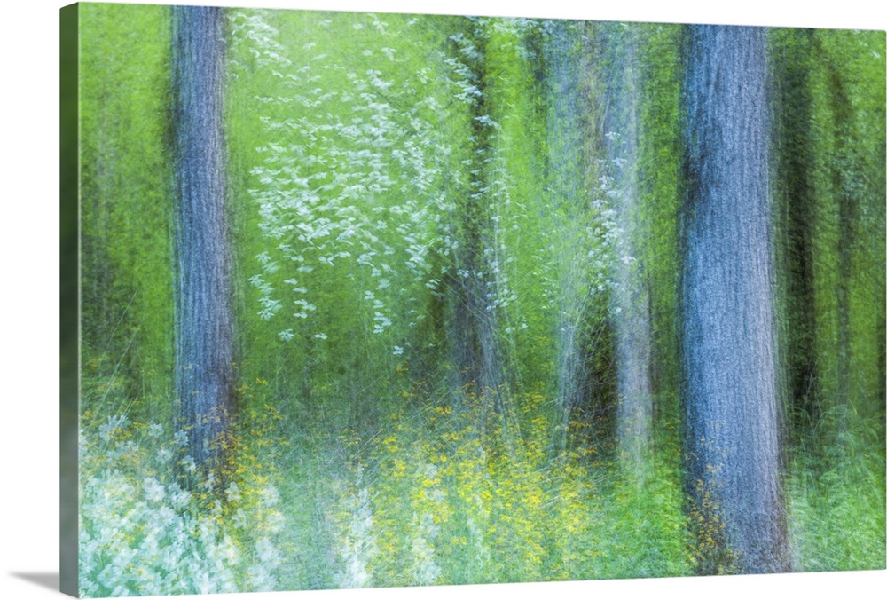 Blurred motion image of a green forest in the Great Smoky Mountains in the springtime, creating an abstract image.