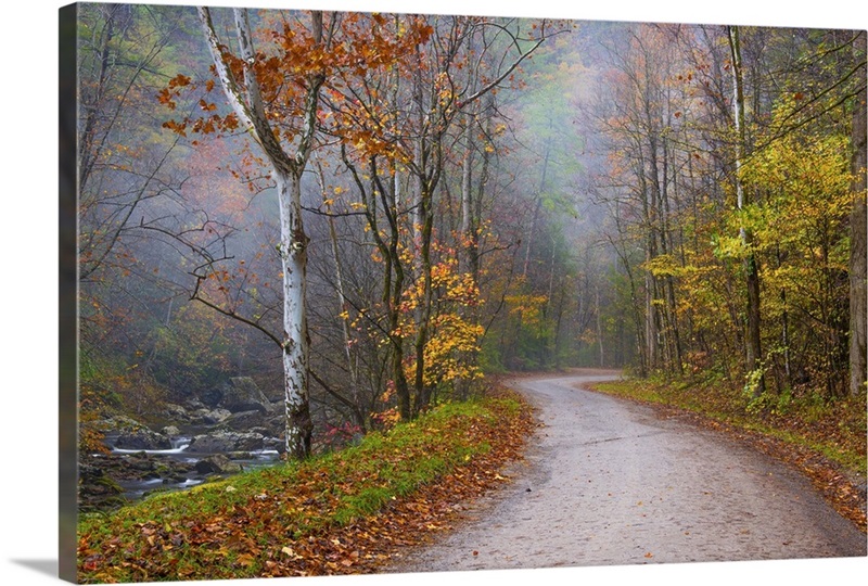 Tremont Road Great Big Canvas