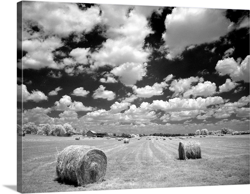 A hayfield with summer clouds