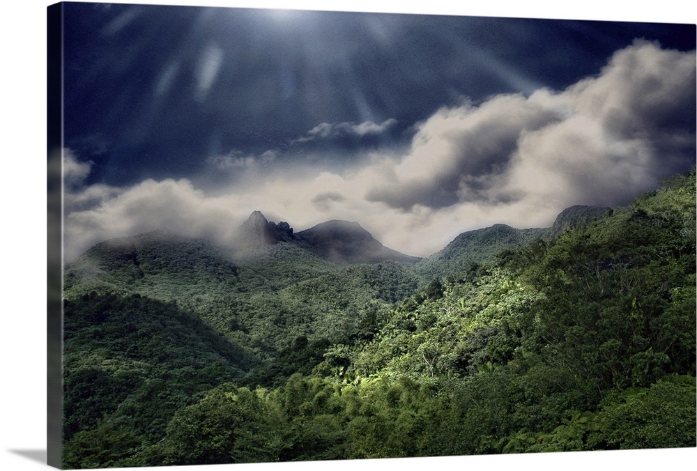 A sunny day in El Yunque National Park in Puerto Rico with clouds and fog on the rain forest
