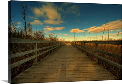 A wooden jetty passing between reed beds under a blue sky