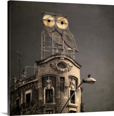 An owl on a roof in the city