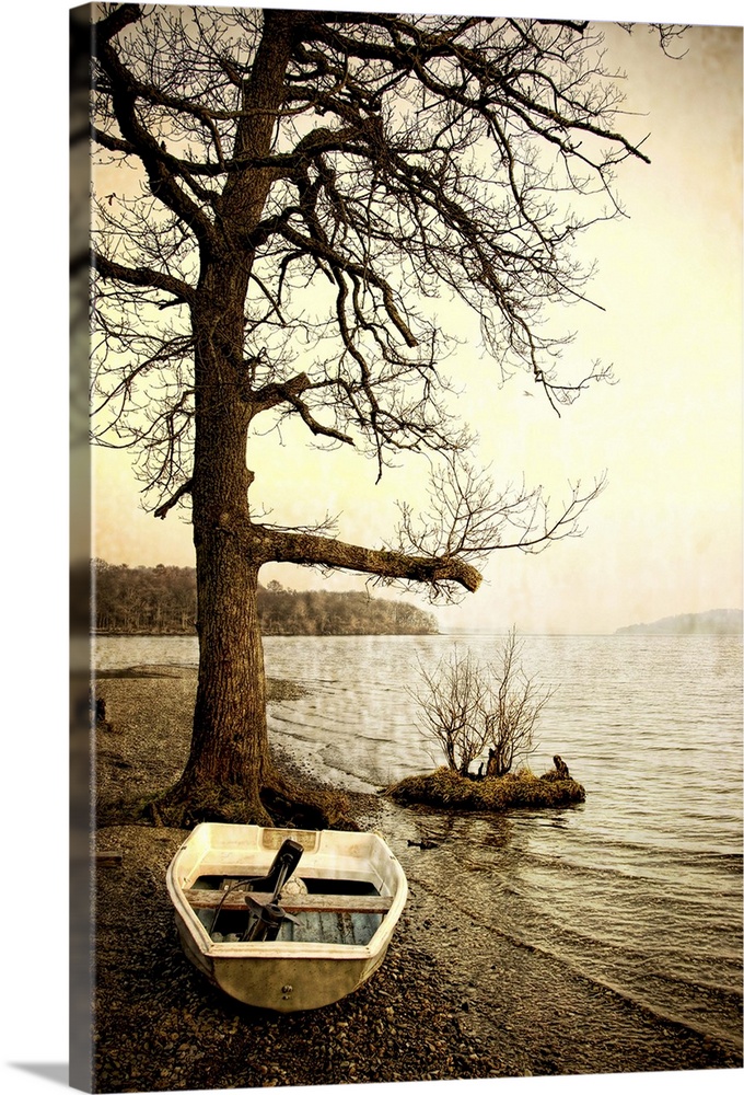 A small fibreglass rowing boat on the shore of a lake beside a tree in winter
