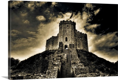 Cardiff Castle I