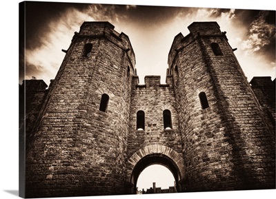 Cardiff Castle III