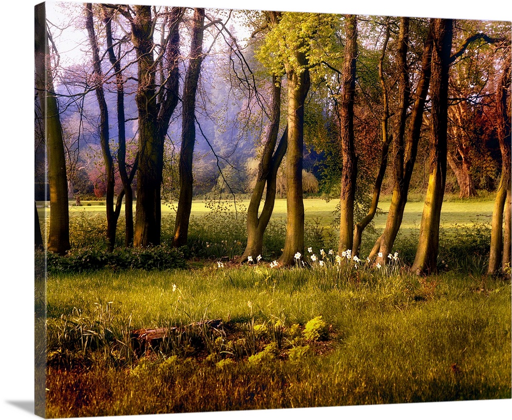 A pastural scene with trees and flowers