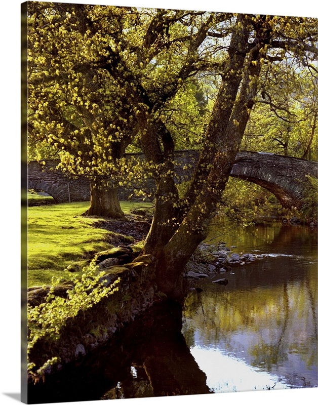 Cotswolds stone bridge | Great Big Canvas