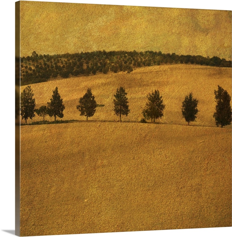 Countryside scene VIII | Great Big Canvas