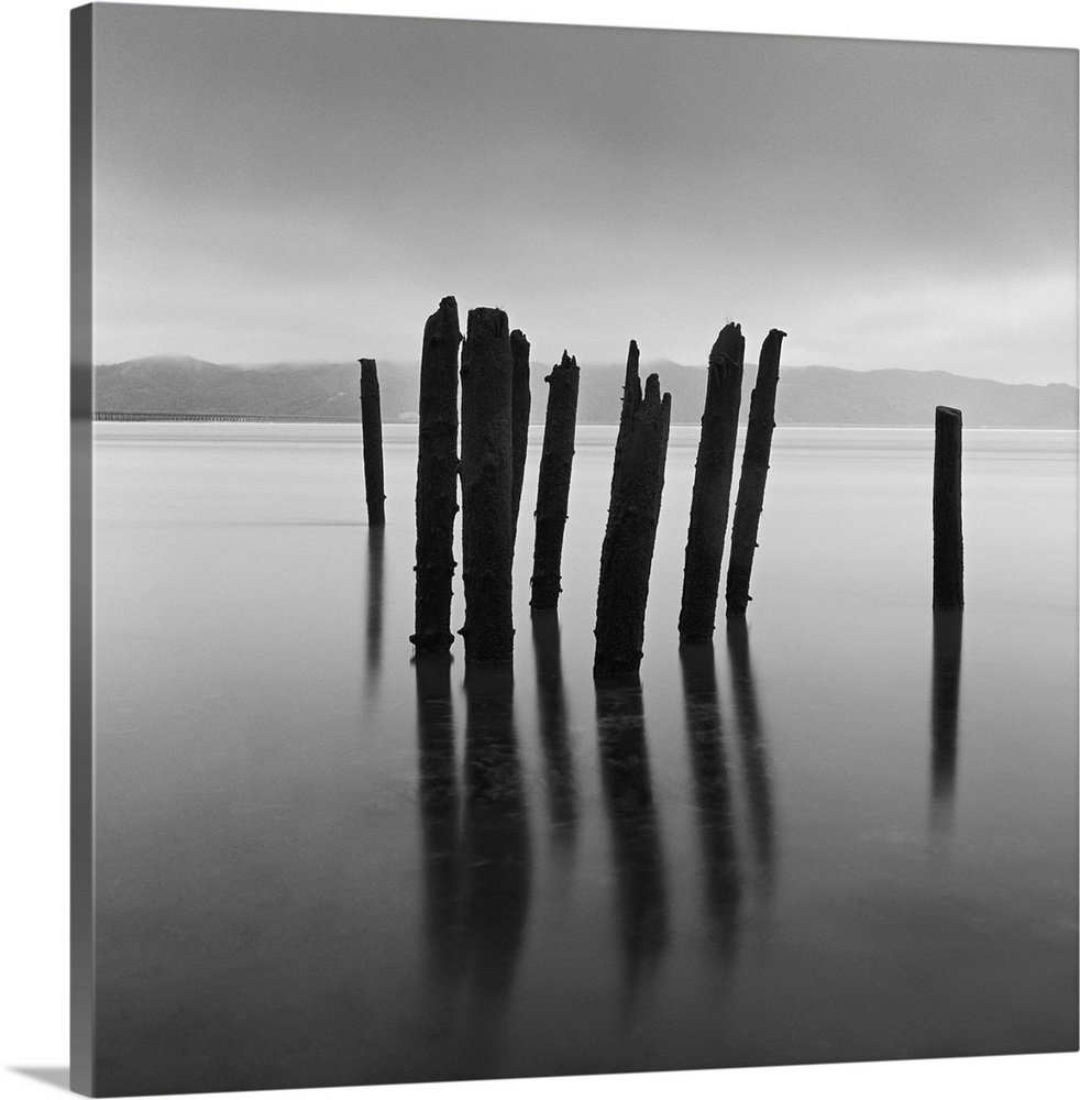 Long Exposure of lake and timbers in water at Astoria OR, on a foggy morning