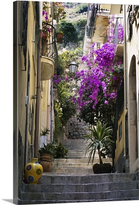Decorations including vases and flowers line residential alleyway, Italy