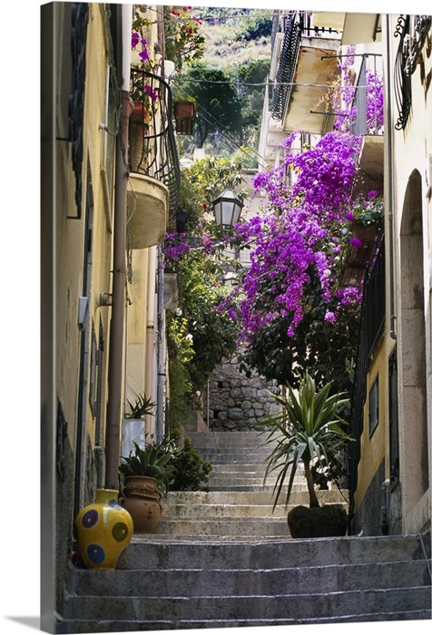 Decorations Including Vases And Flowers Line Residential Alleyway Italy Wall Art Canvas Prints Framed Prints Wall Peels Great Big Canvas