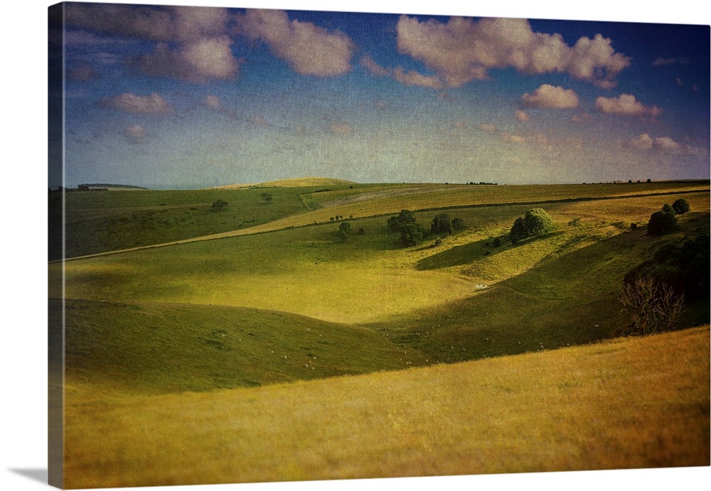 Landscape of the South Downs in southern England with long grass and fields on a summer's day.