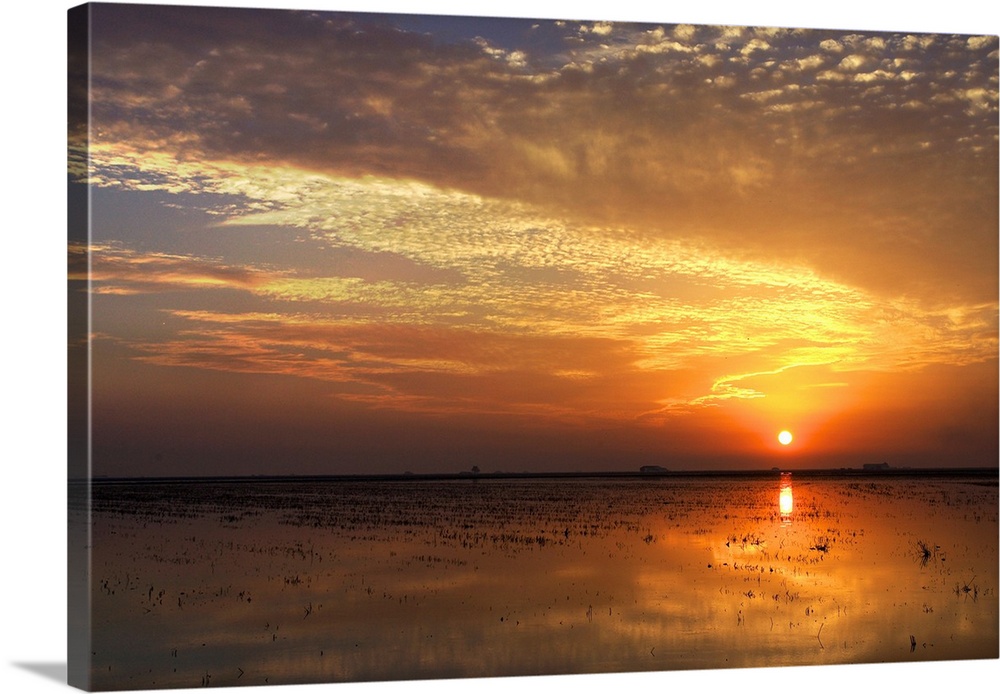 Dramatic sunset on a harvested rice field, Doana marshland area, Isla Mayor, Spain