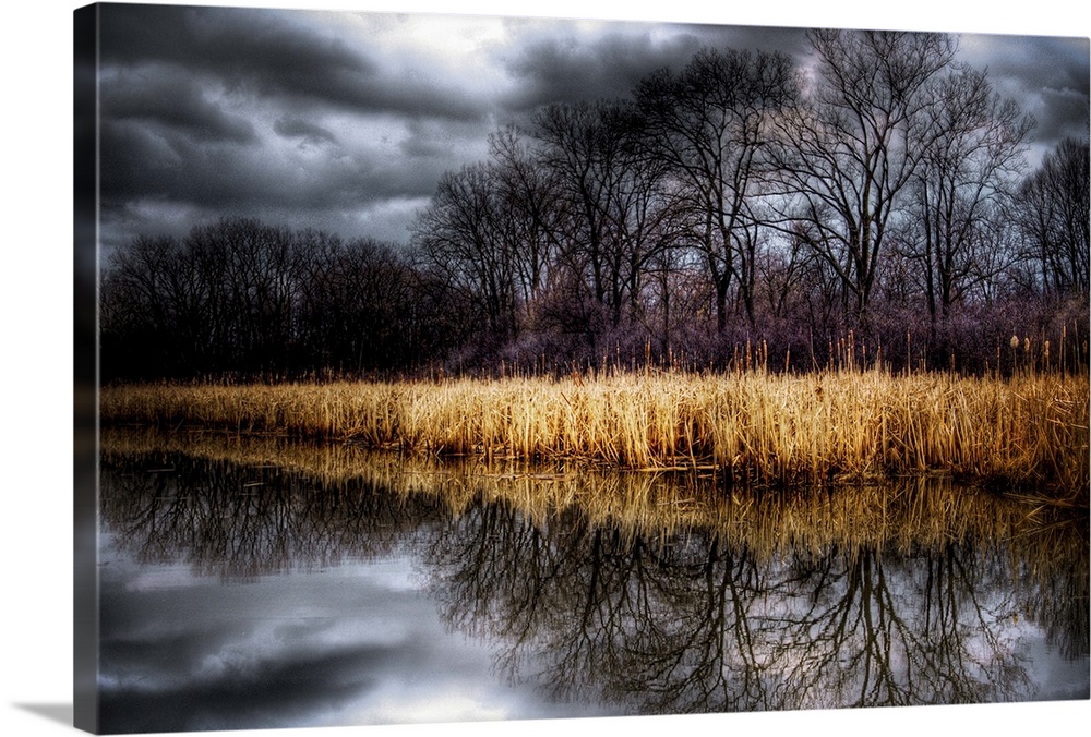 Stormy grey skies reflected in a lake with reeds and trees