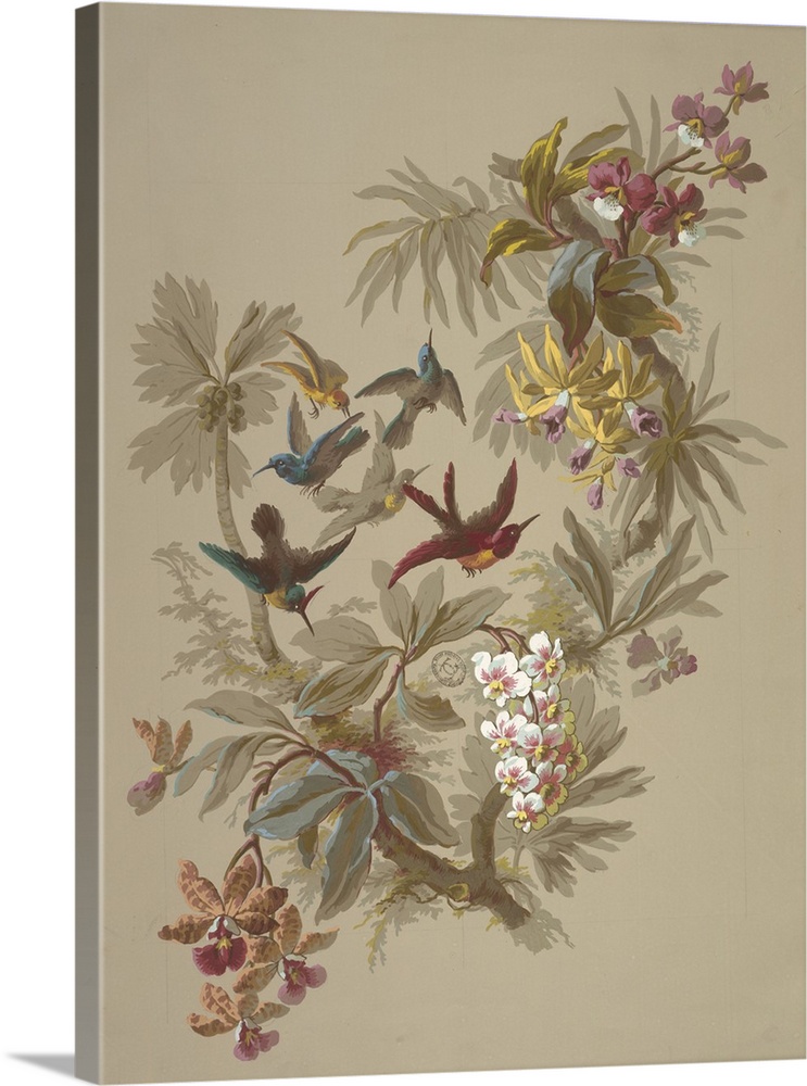 Forked branch at center of page with foliage and various orchids and tropical flowers growing from it. Between the two bra...