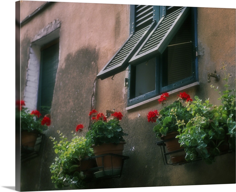 Flowers decorate the wall beneath an open window in Italy