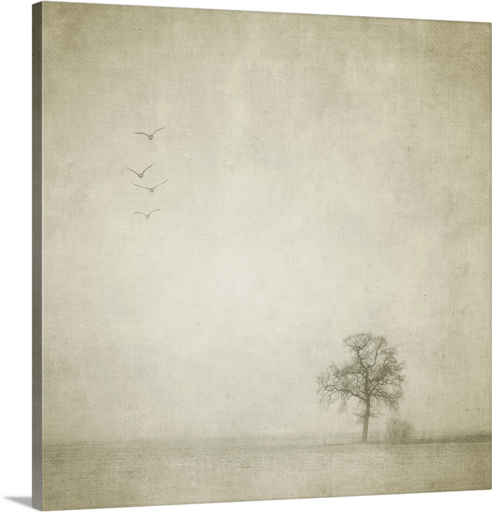 A lonely tree and four birds flying away in an empty and strange landscape
