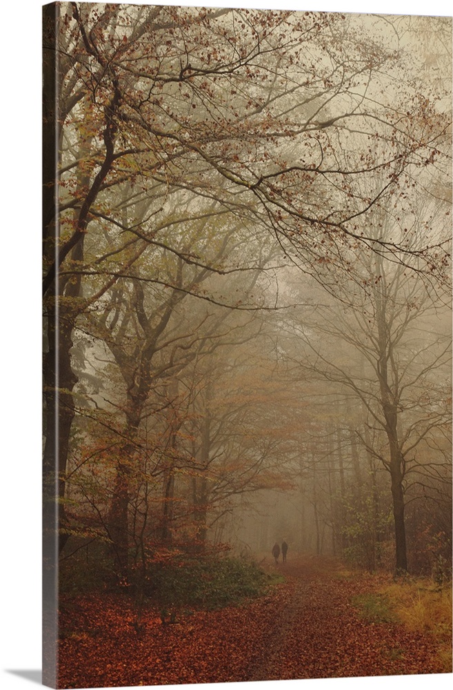 Two unrecognizable persons walking side by side on a path through an autumn forest on a foggy day